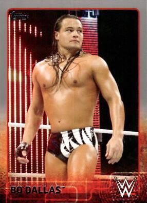 Bo Dallas [Silver] #9