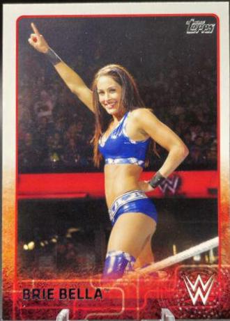 Brie Bella #12