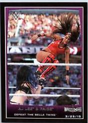 AJ Lee, Paige #106