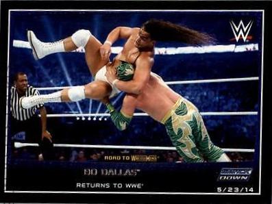 Bo Dallas #18