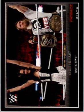 Brie Bella #21