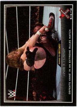 Daniel Bryan #15