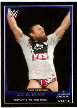 Daniel Bryan #80