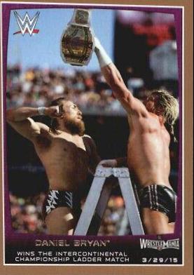 Daniel Bryan [Bronze] #103