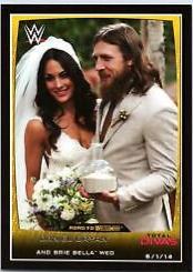 Daniel Bryan, Brie Bella #20