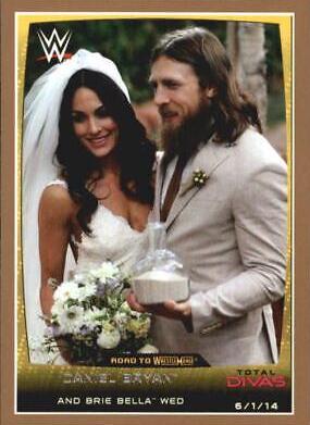 Daniel Bryan, Brie Bella [Bronze] #20