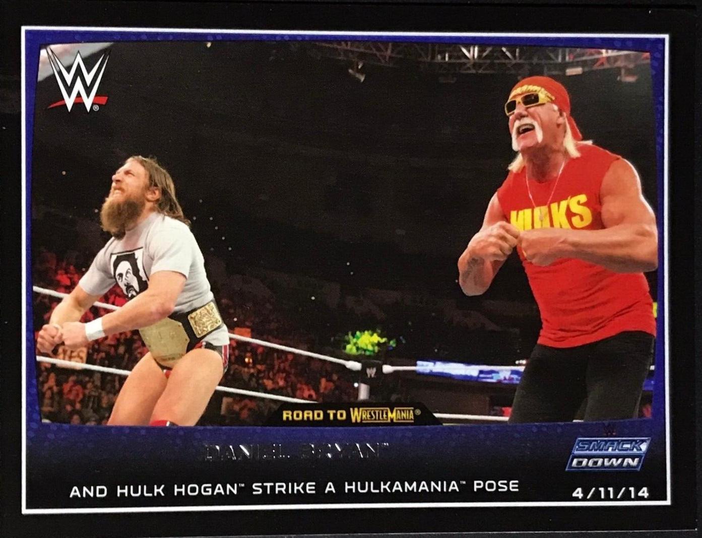 Daniel Bryan, Hulk Hogan #3