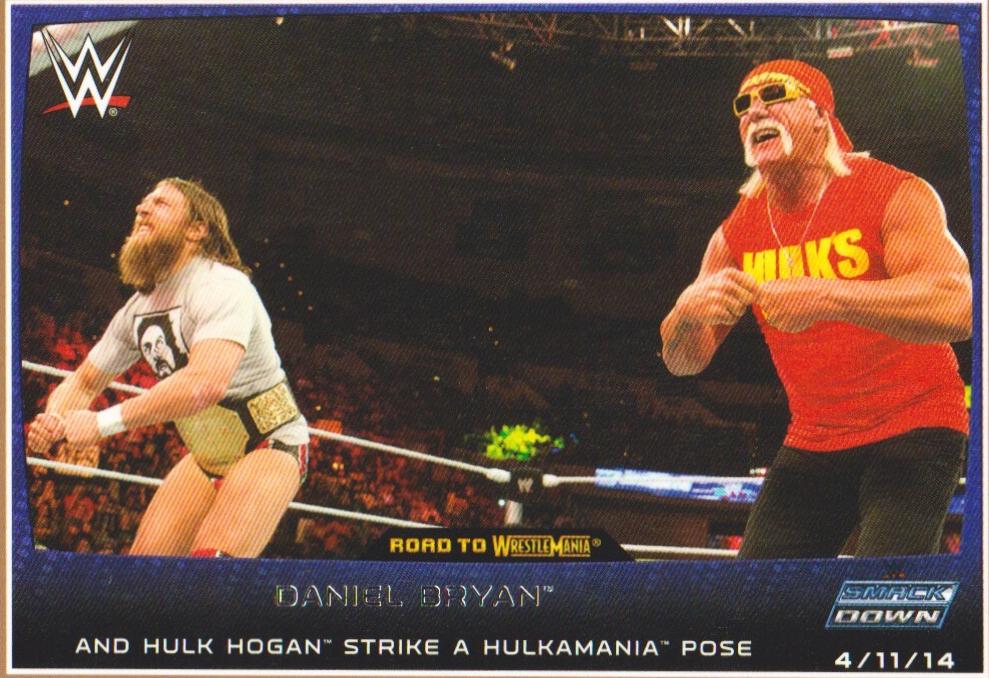 Daniel Bryan, Hulk Hogan [Bronze] #3