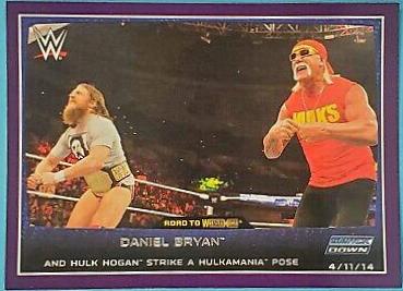 Daniel Bryan, Hulk Hogan [Purple] #3