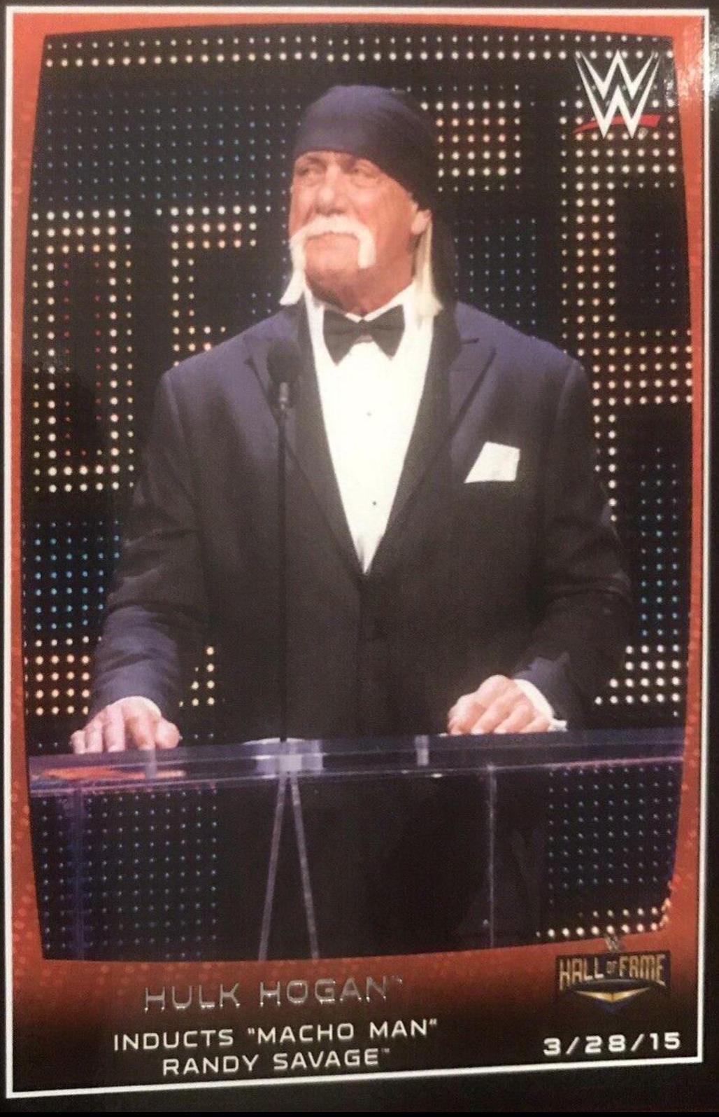 Hulk Hogan #99