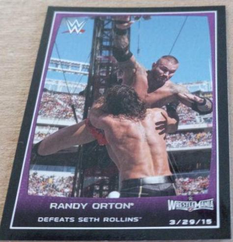 Randy Orton #104