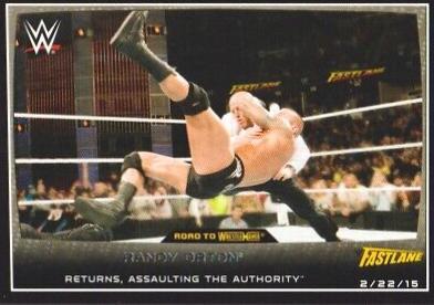 Randy Orton #91