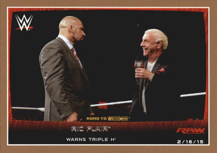 Ric Flair [Bronze] #89