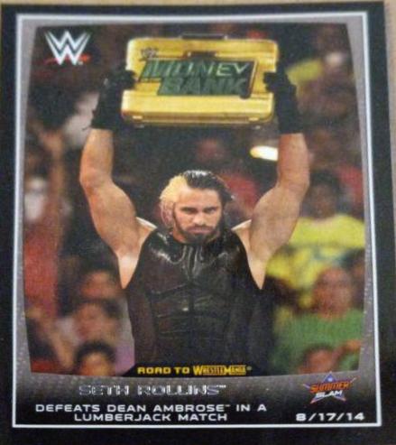 Seth Rollins #42