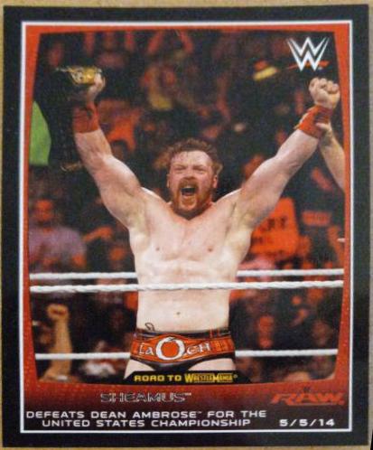 Sheamus #16