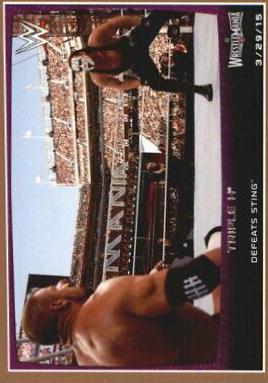 Triple H [Bronze] #105