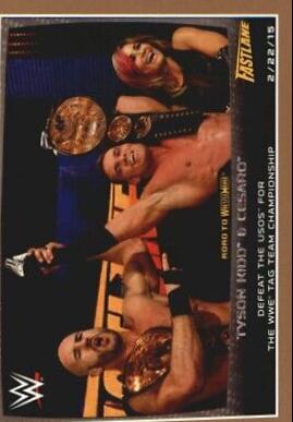 Tyson Kidd, Cesaro [Bronze] #92