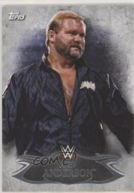 Arn Anderson #83