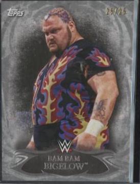 Bam Bam Bigelow [Silver] #93