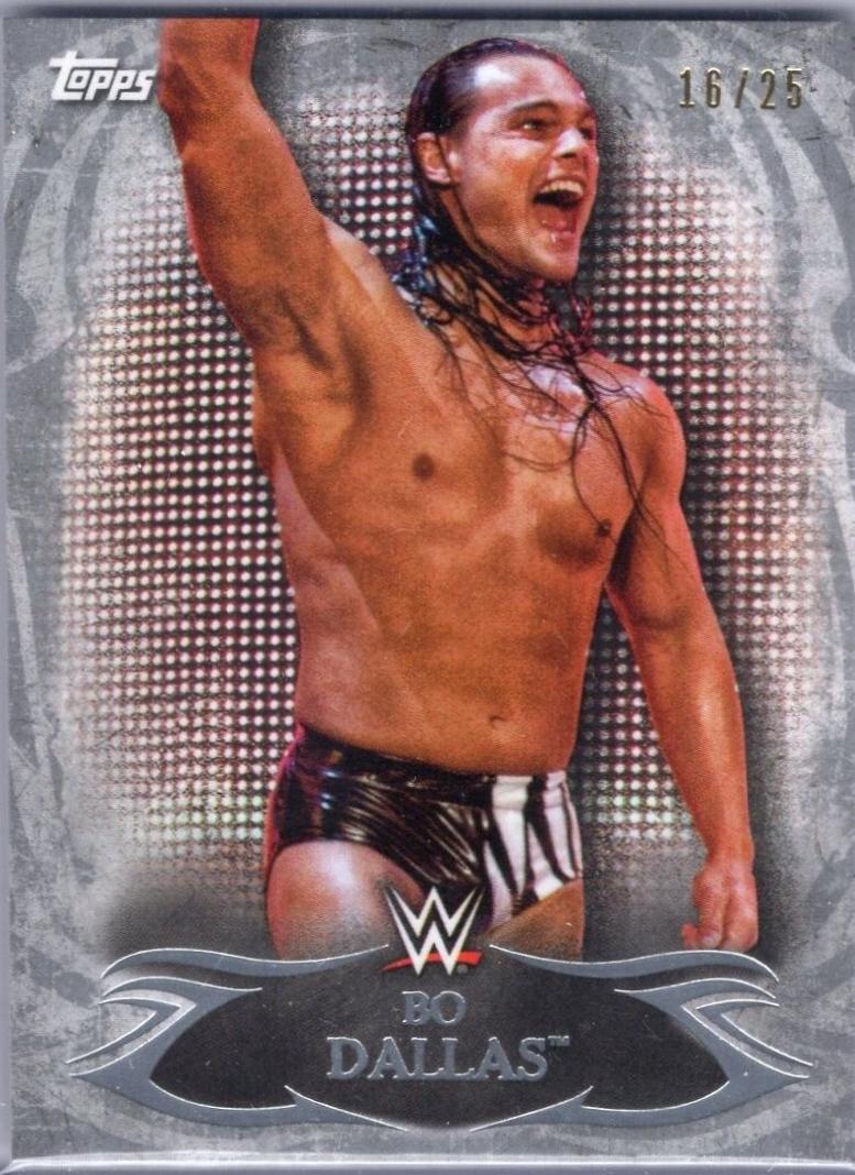 Bo Dallas [Silver] #38