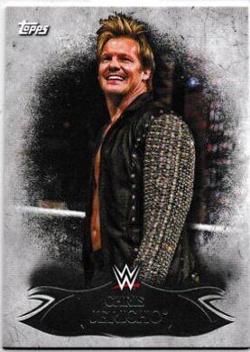 Chris Jericho #35
