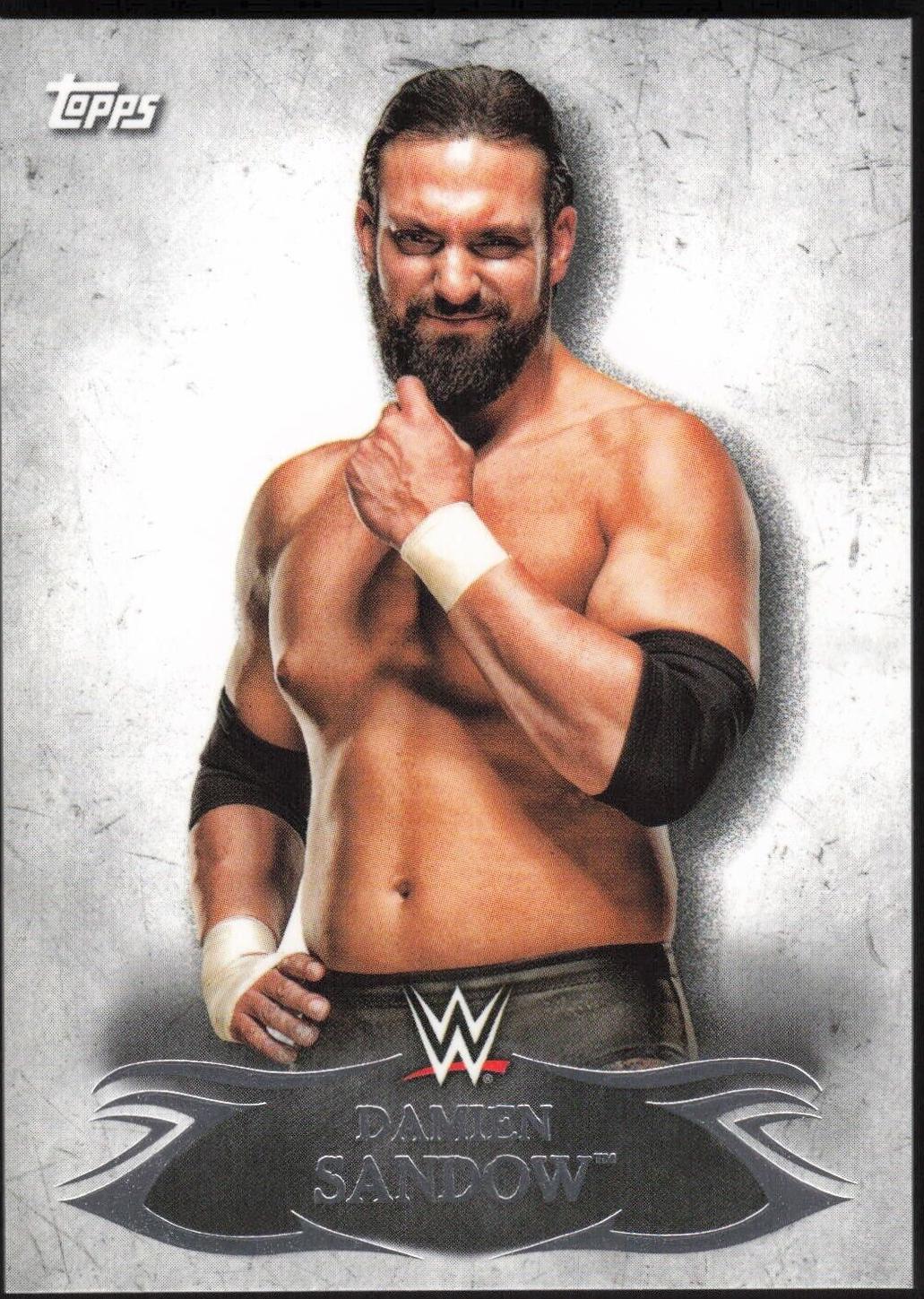 Damien Sandow #84