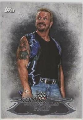Diamond Dallas Page #51