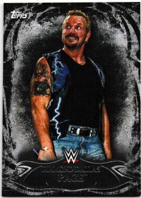 Diamond Dallas Page [Black] #51