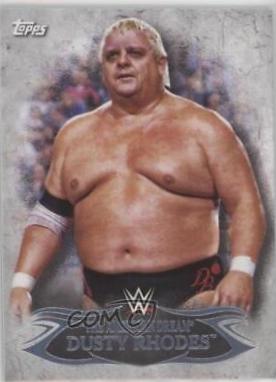 Dusty Rhodes #8