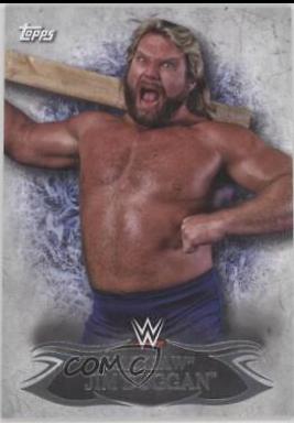 Hacksaw Jim Duggan #22