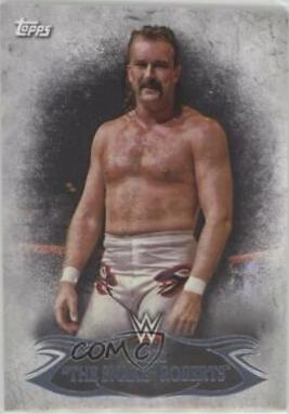 Jake The Snake Roberts #74