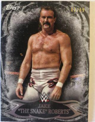Jake The Snake Roberts [Black] #74