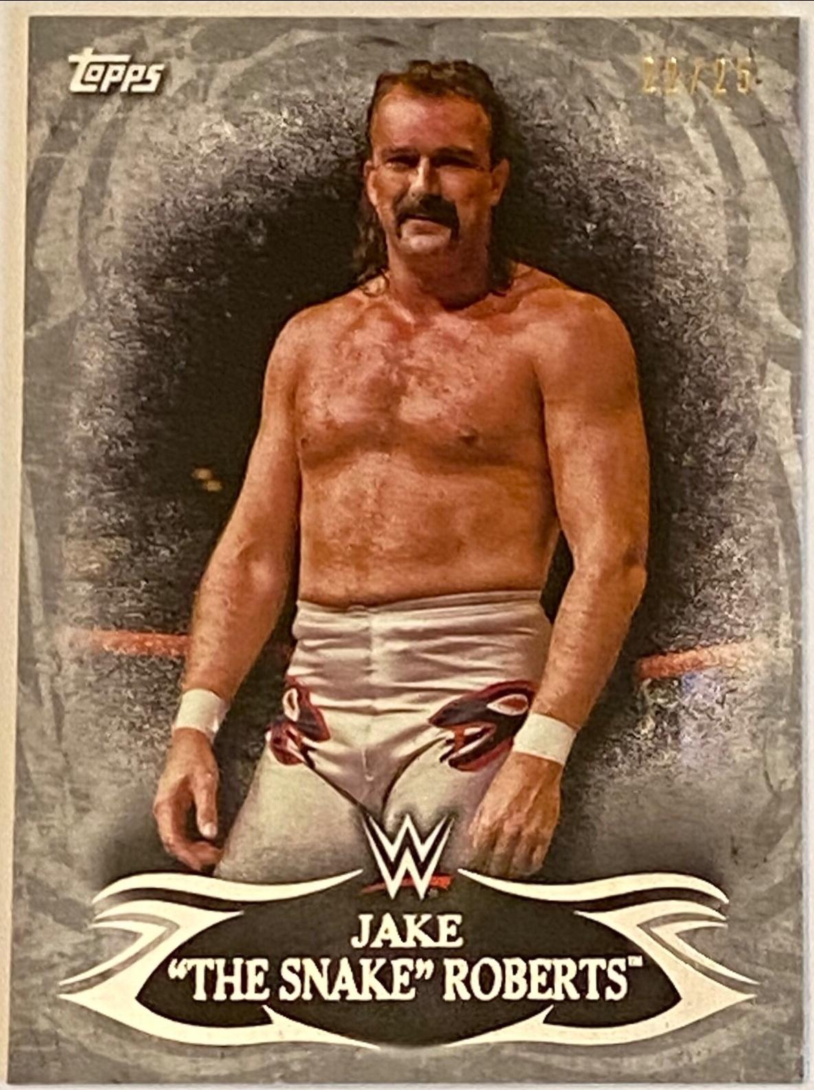 Jake The Snake Roberts [Silver] #74