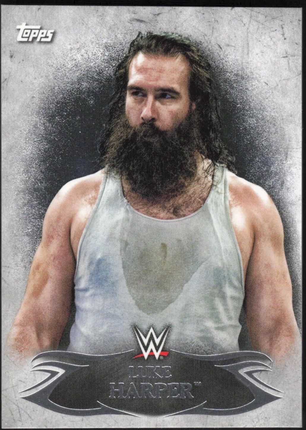 Luke Harper #68