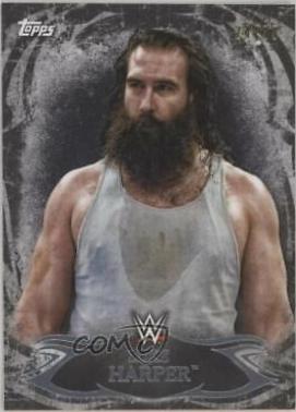 Luke Harper [Black] #68