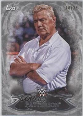 Pat Patterson [Silver] #94