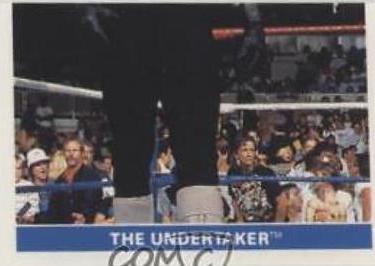 The Undertaker #145