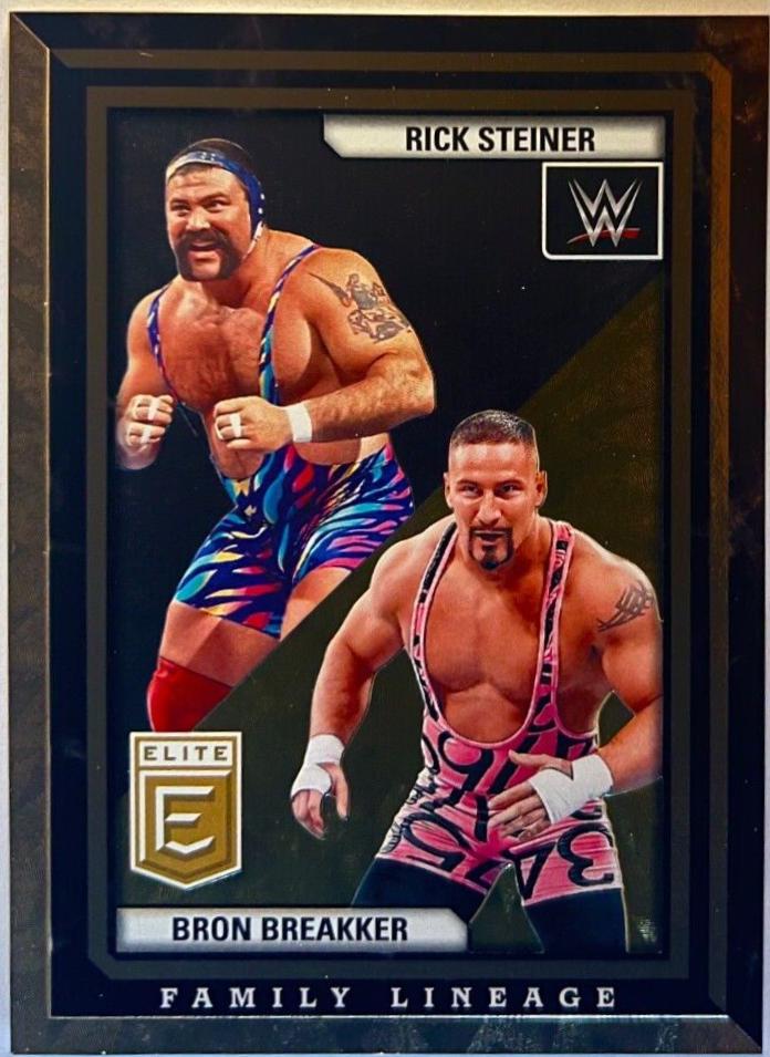 Rick Steiner / Bron Breakker [Gold] #6