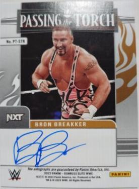 Bron Breakker / Rick Steiner #10