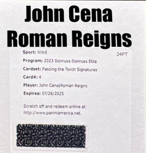 John Cena / Roman Reigns #4