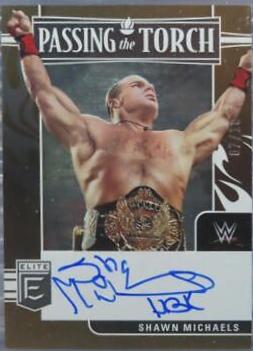 Stone Cold Steve Austin / Shawn Michaels [Gold] #1