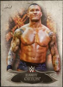 Randy Orton #24