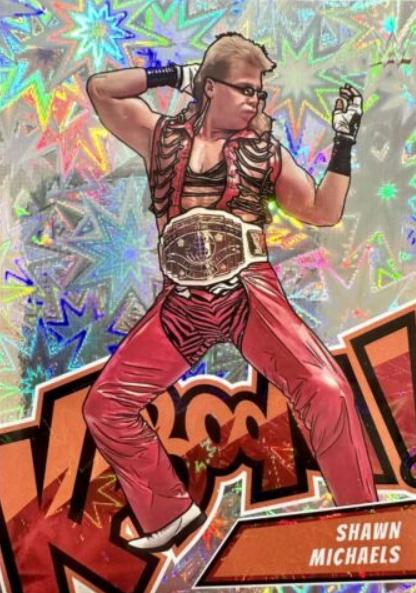 Shawn Michaels #18