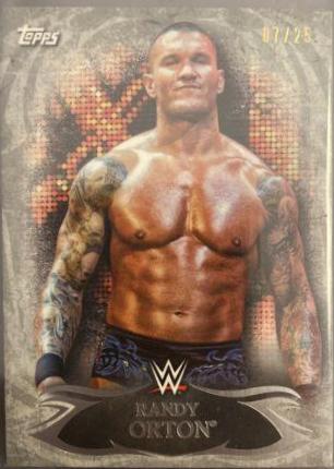 Randy Orton [Silver] #24
