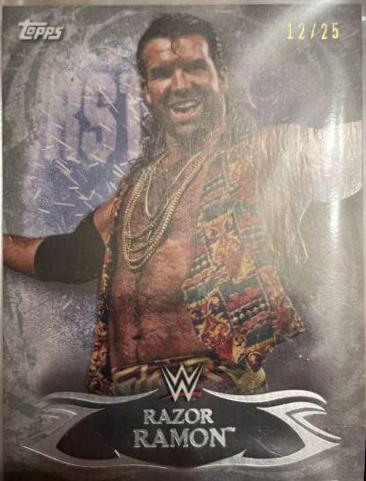 Razor Ramon [Silver] #54
