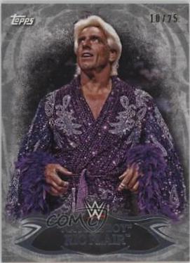 Ric Flair [Silver] #20