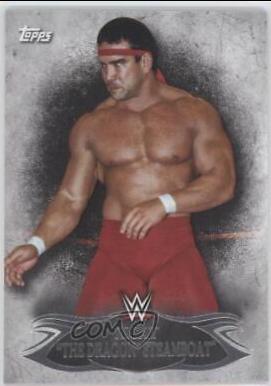 Ricky The Dragon Steamboat #34