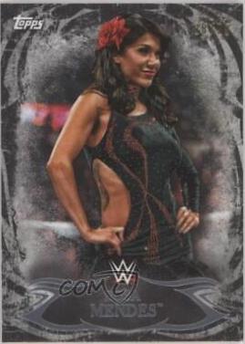 Rosa Mendes [Black] #2