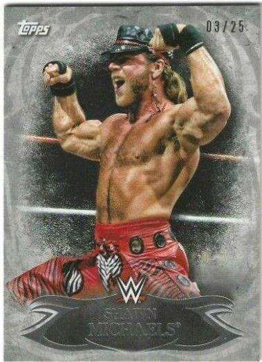 Shawn Michaels #18