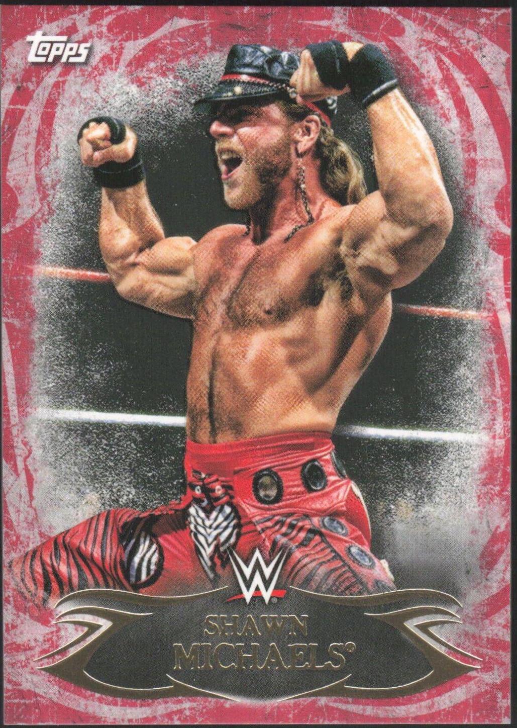 Shawn Michaels [Red] #18